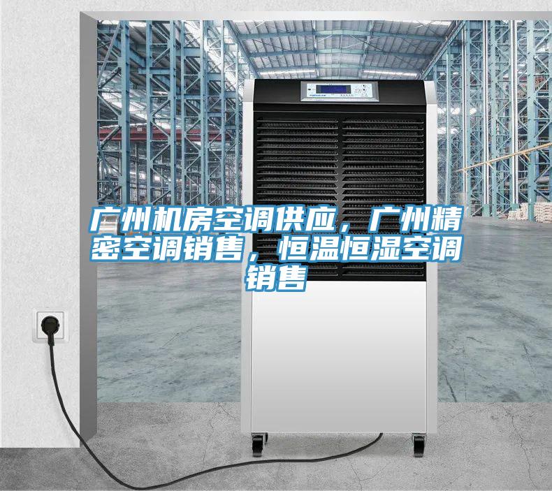 廣州機房空調(diào)供應(yīng)，廣州精密空調(diào)銷售，恒溫恒濕空調(diào)銷售