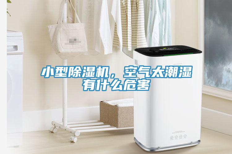 小型除濕機，空氣太潮濕有什么危害