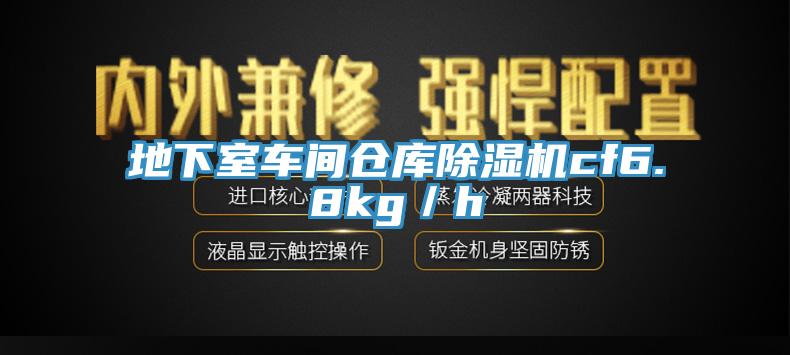 地下室車(chē)間倉(cāng)庫(kù)除濕機(jī)cf6.8kg／h