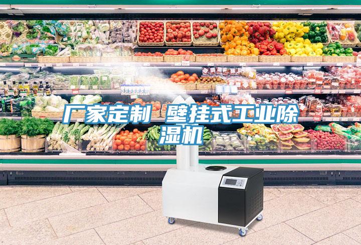 廠家定制 壁掛式工業除濕機