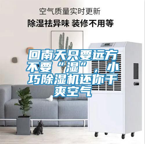 回南天只要遠方不要“濕”,小巧除濕機還你干爽空氣