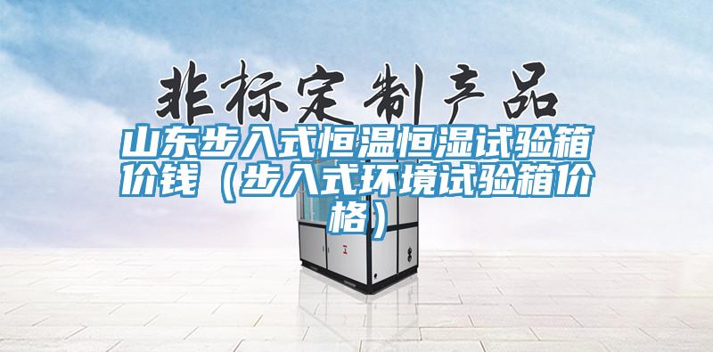 山東步入式恒溫恒濕試驗箱價錢(步入式環境試驗箱價格)