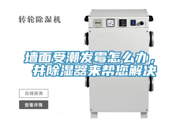 墻面受潮發霉怎么辦，東井除濕器來幫您解決