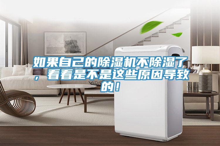 如果自己的除濕機不除濕了，看看是不是這些原因導致的！