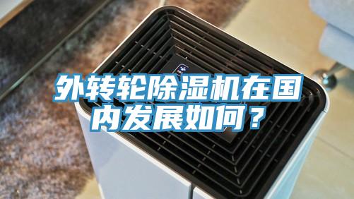 外轉(zhuǎn)輪除濕機(jī)在國內(nèi)發(fā)展如何？