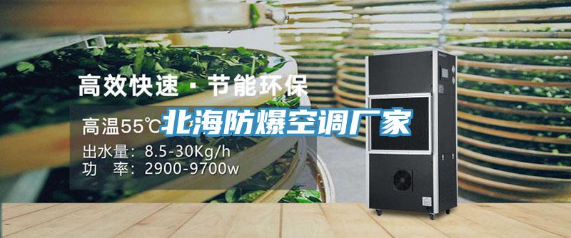 北海防爆空調(diào)廠家