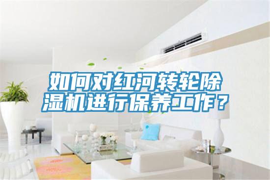 如何對紅河轉輪除濕機進行保養工作？