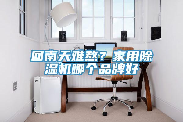 回南天難熬？家用除濕機(jī)哪個(gè)品牌好
