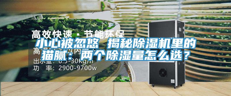 小心被忽悠 揭秘除濕機里的貓膩：兩個除濕量怎么選？