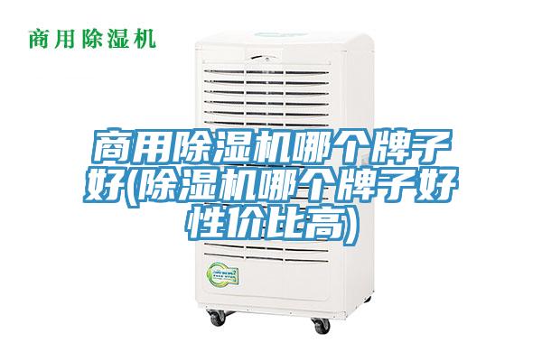 商用除濕機(jī)哪個(gè)牌子好(除濕機(jī)哪個(gè)牌子好性價(jià)比高)