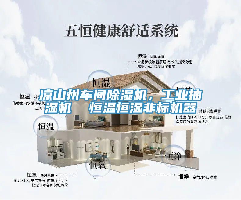涼山州車間除濕機，工業抽濕機  恒溫恒濕非標機器