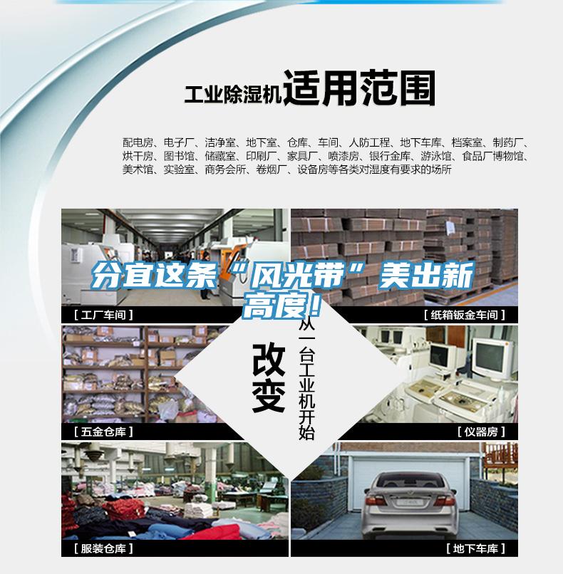 分宜這條“風光帶”美出新高度！