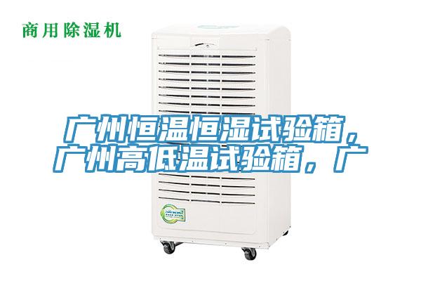 廣州恒溫恒濕試驗箱，廣州高低溫試驗箱，廣