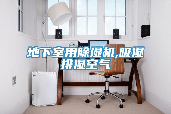 地下室用除濕機(jī),吸濕排濕空氣