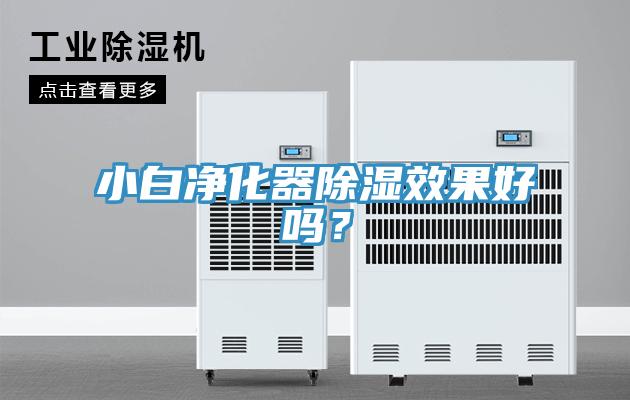 小白凈化器除濕效果好嗎?