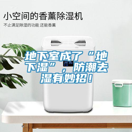 地下室成了“地下濕”,防潮去濕有妙招!