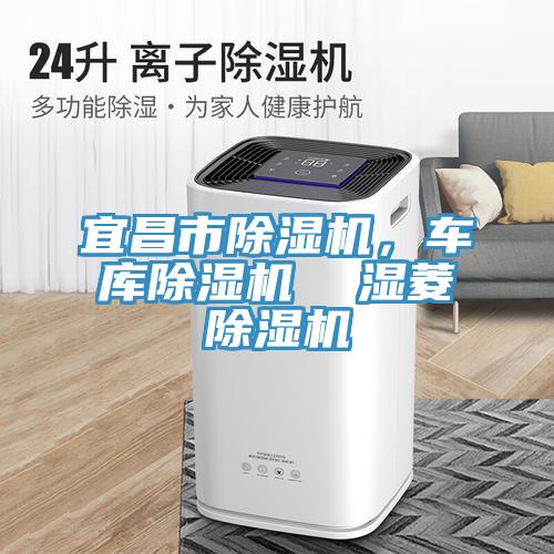 宜昌市除濕機,車庫除濕機 濕菱除濕機