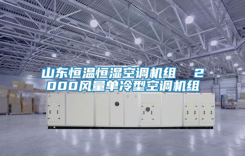 山東恒溫恒濕空調機組 2000風量單冷型空調機組