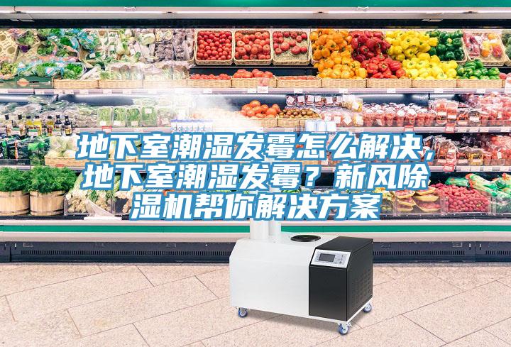 地下室潮濕發霉怎么解決，地下室潮濕發霉？新風除濕機幫你解決方案