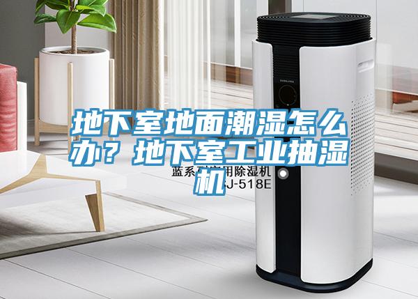 地下室地面潮濕怎么辦？地下室工業(yè)抽濕機(jī)