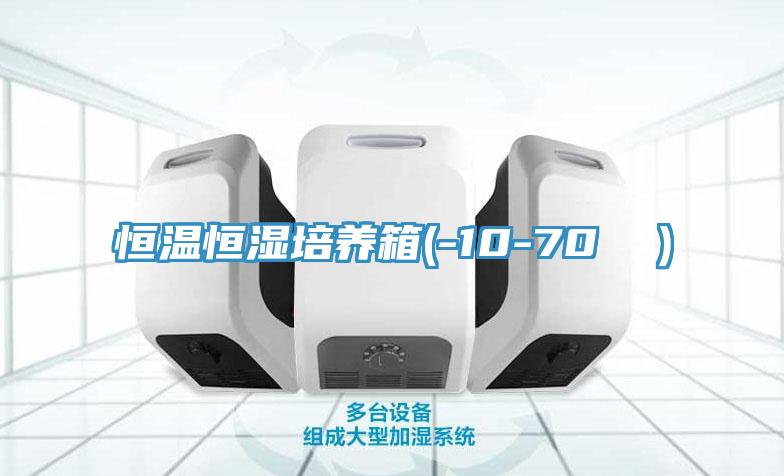 恒溫恒濕培養箱(-10-70 ℃)