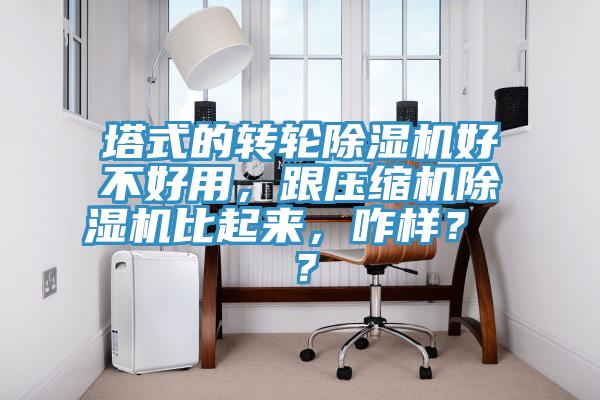 塔式的轉(zhuǎn)輪除濕機(jī)好不好用，跟壓縮機(jī)除濕機(jī)比起來，咋樣？ ？