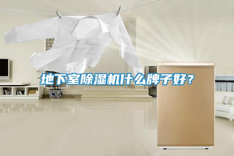 地下室除濕機什么牌子好？