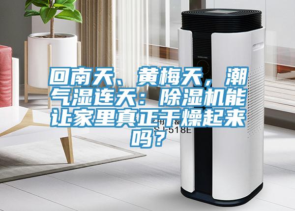 回南天、黃梅天，潮氣濕連天：除濕機能讓家里真正干燥起來嗎？