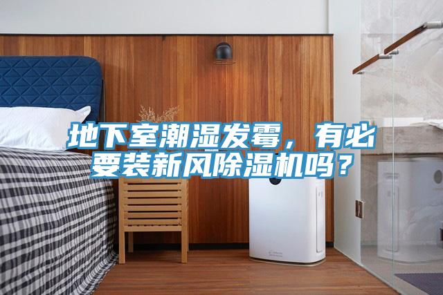 地下室潮濕發霉，有必要裝新風除濕機嗎？