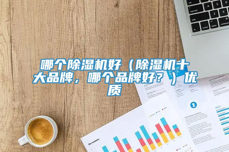 哪個除濕機好（除濕機十大品牌，哪個品牌好？）優質