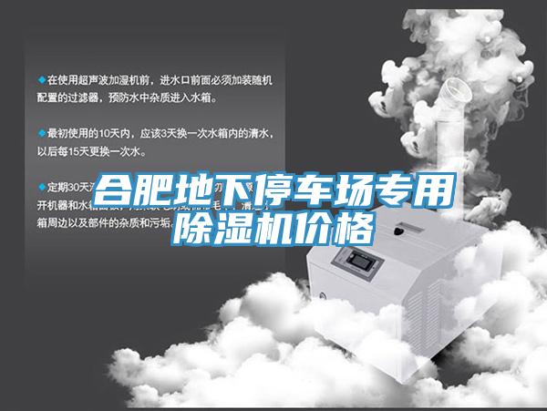 合肥地下停車場(chǎng)專用除濕機(jī)價(jià)格