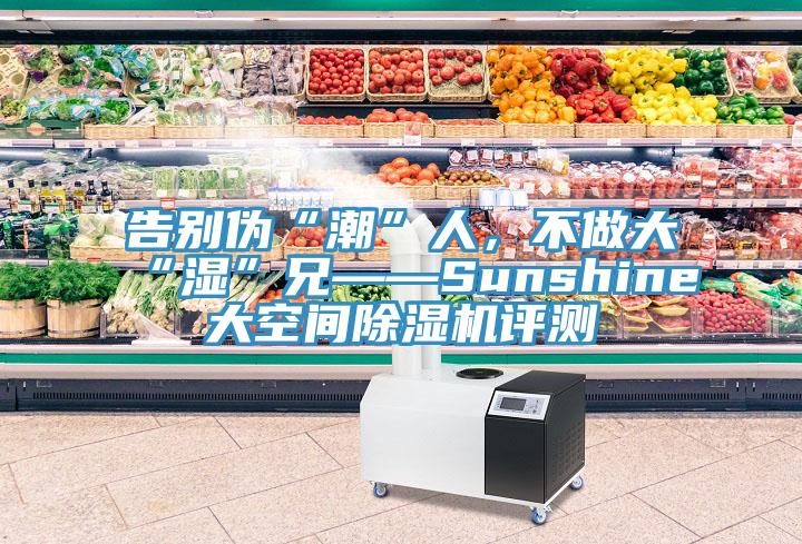告別偽“潮”人,不做大“濕”兄——Sunshine大空間除濕機(jī)評(píng)測(cè)