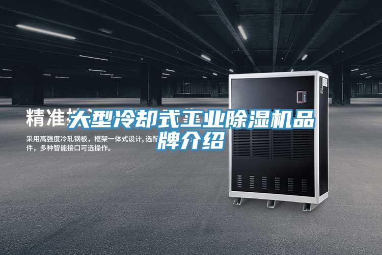 大型冷卻式工業除濕機品牌介紹