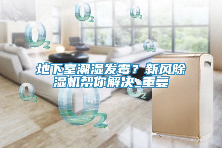 地下室潮濕發霉？新風除濕機幫你解決_重復