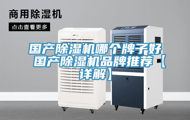 國產(chǎn)除濕機(jī)哪個(gè)牌子好 國產(chǎn)除濕機(jī)品牌推薦【詳解】