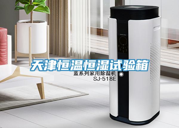 天津恒溫恒濕試驗箱