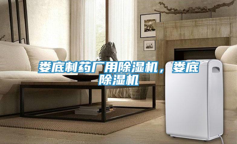 婁底制藥廠用除濕機，婁底除濕機