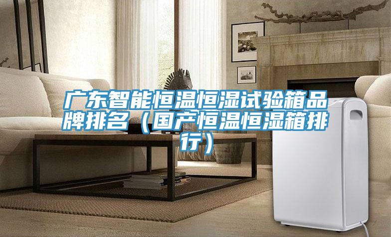 廣東智能恒溫恒濕試驗箱品牌排名(國產恒溫恒濕箱排行)
