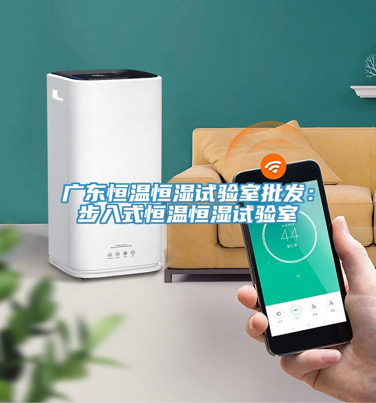 廣東恒溫恒濕試驗室批發:步入式恒溫恒濕試驗室