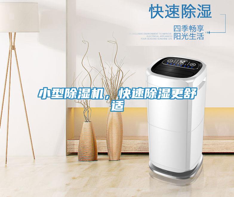 小型除濕機，快速除濕更舒適