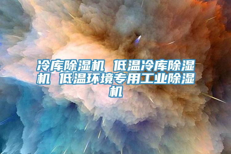 冷庫除濕機 低溫冷庫除濕機 低溫環境專用工業除濕機