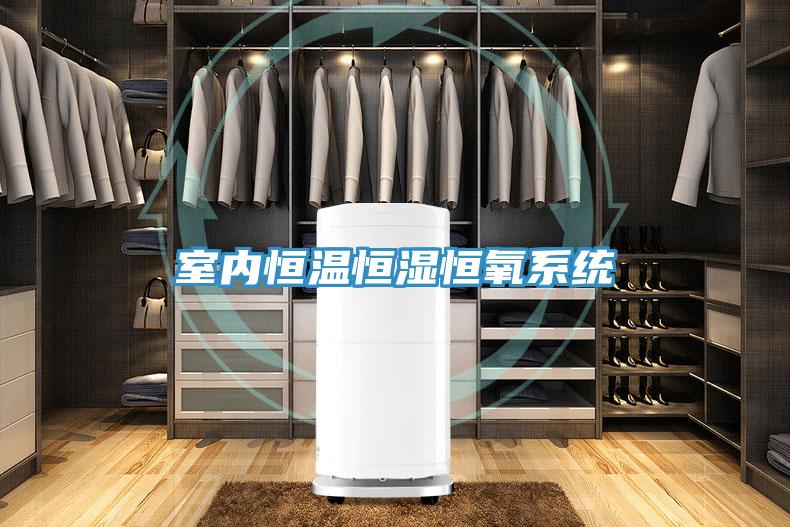 室內恒溫恒濕恒氧系統(tǒng)