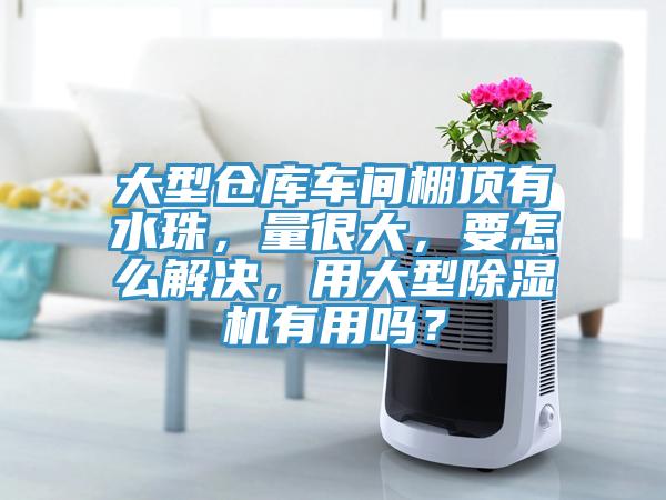 大型倉庫車間棚頂有水珠，量很大，要怎么解決，用大型除濕機有用嗎？