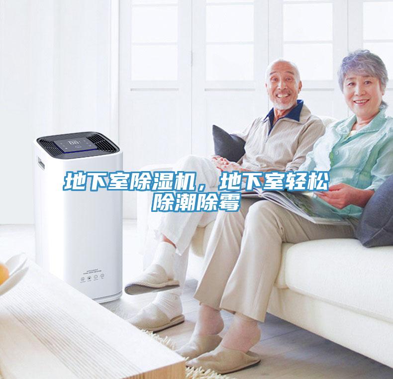 地下室除濕機(jī)，地下室輕松除潮除霉