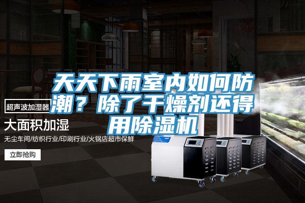 天天下雨室內如何防潮？除了干燥劑還得用除濕機