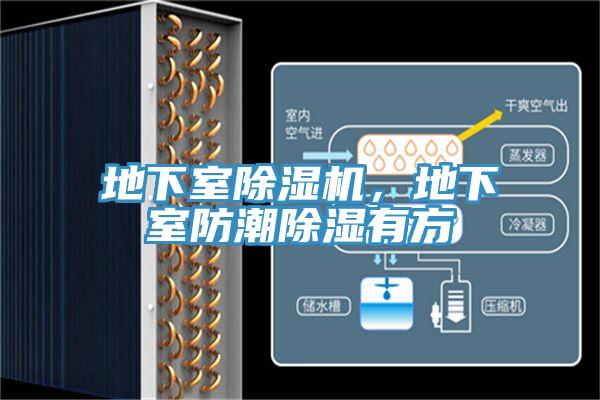 地下室除濕機(jī)，地下室防潮除濕有方