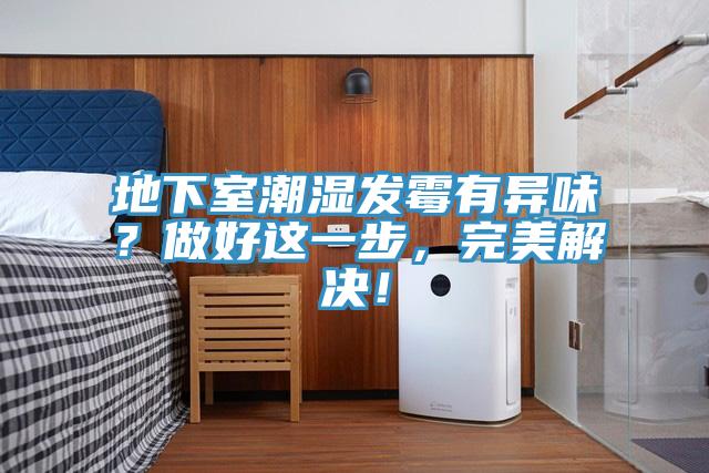 地下室潮濕發(fā)霉有異味?做好這一步,完美解決!