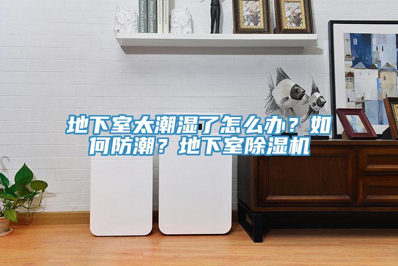 地下室太潮濕了怎么辦？如何防潮？地下室除濕機