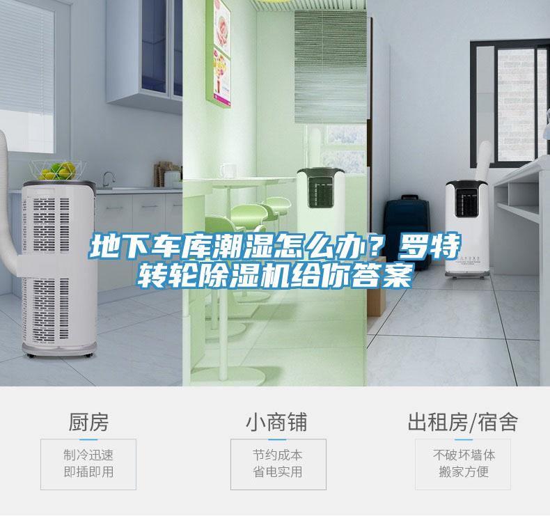 地下車庫潮濕怎么辦?羅特轉(zhuǎn)輪除濕機(jī)給你答案