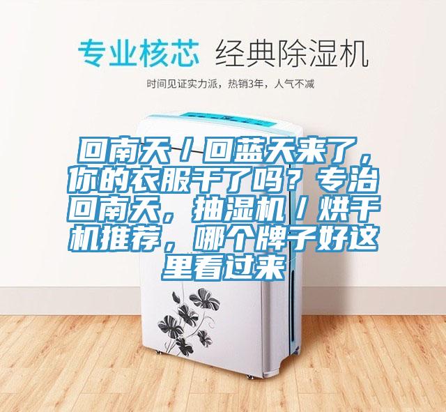 回南天／回藍(lán)天來了，你的衣服干了嗎？專治回南天，抽濕機(jī)／烘干機(jī)推薦，哪個(gè)牌子好這里看過來
